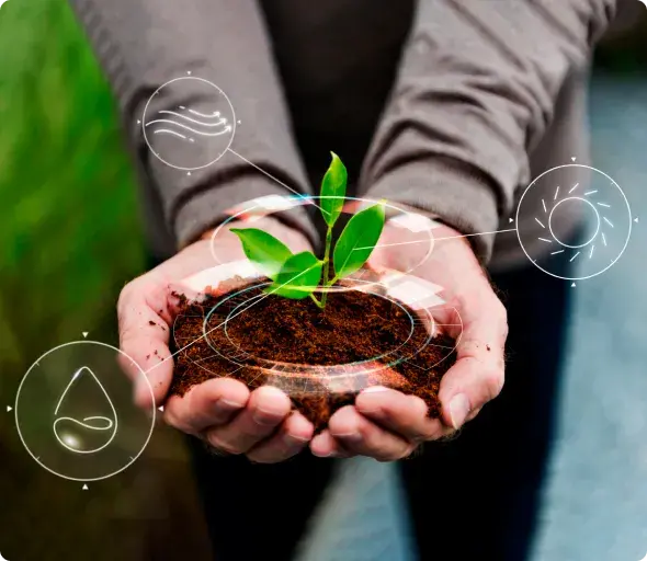 Imagem de Compromisso com o meio ambiente
